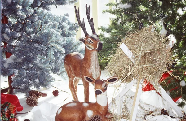 Vánoční Dekorace Zobrazeny Uvnitř Pro Svátky — Stock fotografie