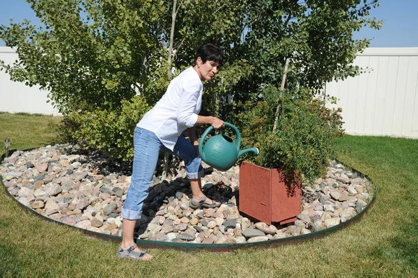 成熟女性的美 给她在户外的植物浇水 — 图库照片