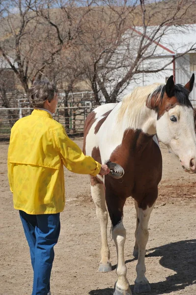 Female Rancher Bonding Her Horse Outdoors — Stock Photo, Image
