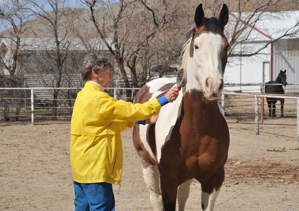 Female Rancher Bonding Her Horse Outdoors — Stock Photo, Image