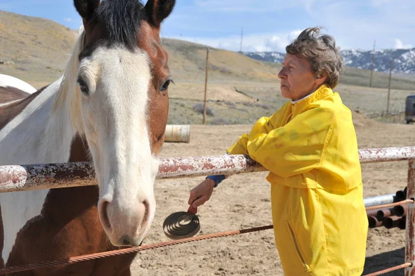 Female Rancher Bonding Her Horse Outdoors — Stock Photo, Image