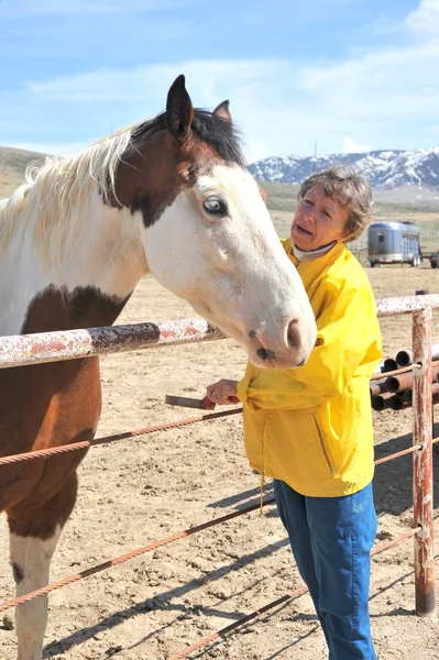 Female Rancher Bonding Her Horse Outdoors — Stock Photo, Image