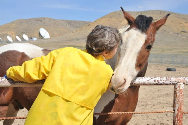 Collage Éleveur Femelle Avec Cheval Extérieur — Photo