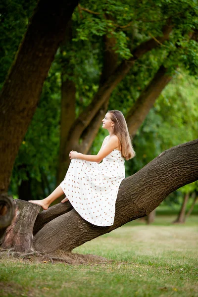 Puantiyeli açık beyaz elbiseli güzel kız büyük yaşlı bir ağacın üzerinde oturuyor.