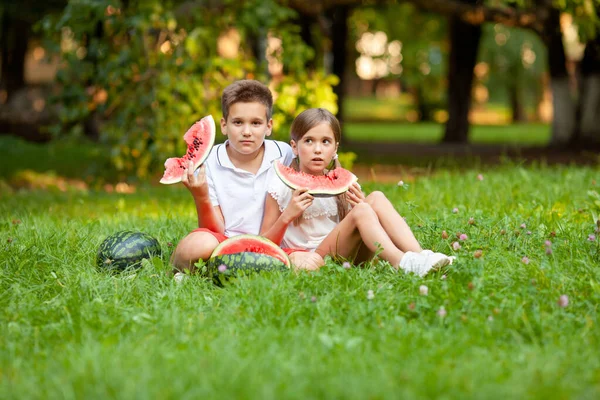 Junge Und Mädchen Sitzen Auf Dem Gras Und Essen Saftige — Stockfoto
