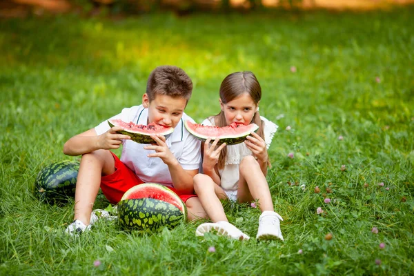 Ragazzo Ragazza Sedersi Sull Erba Mangiare Succosa Anguria — Foto Stock