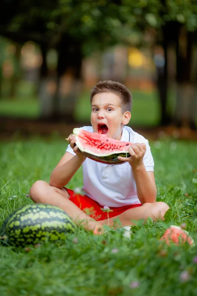 公園の草の上でスイカを食べる白いTシャツの少年 — ストック写真