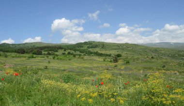Yeşil dağların panoramik görünüm mavi bulutlu gökyüzü altında