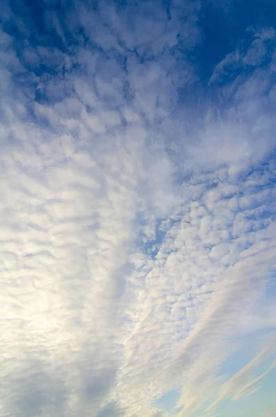 夕暮れ時の白い雲と青い空 — ストック写真