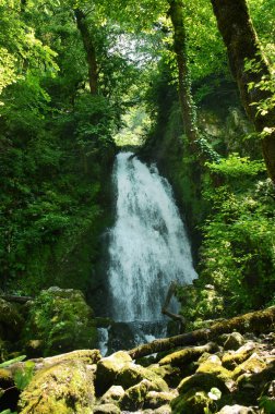 Abhazya'da dağ şelale
