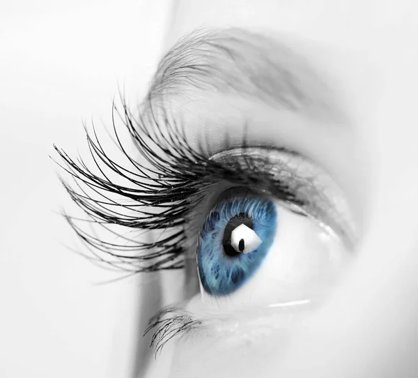 Human Eye Long Eyelashes Close — Stock Photo, Image