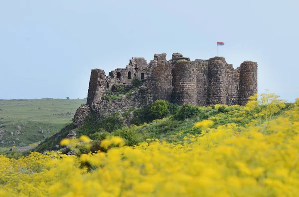 Amberd Pevnost Ruiny Arménii Stockbild