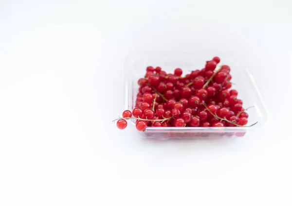 Red Berries Box — Stock Photo, Image