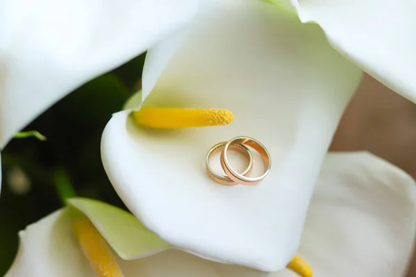 Gouden ringen en callas. — Stockfoto