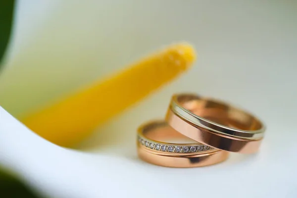 Gold rings and callas. — Stock Photo, Image