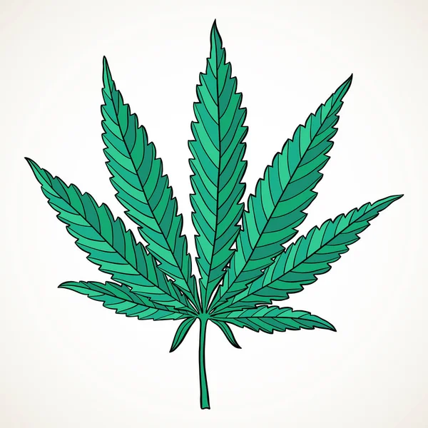 Marijuana Blad Hand Dras Narkotiska Cannabis Designelement Hampa Vektorillustration Isolerade — Stock vektor