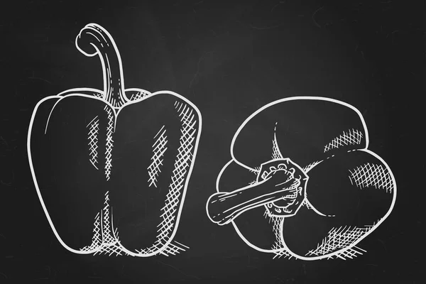 Рисунок Сладкого Перца Овощной Элемент Дизайна Фермерского Рынка Вегетарианский Рецепт — стоковый вектор