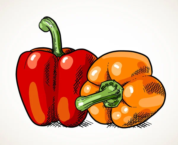 两只新鲜的甜椒被白色隔开 蔬菜设计元素为农场市场 素食食谱 矢量插图 — 图库矢量图片