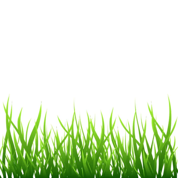 フィールド ベクトル図で分離された緑の草の境界線 生態学と成長のシンボルです 夏の正方形の背景 — ストックベクタ