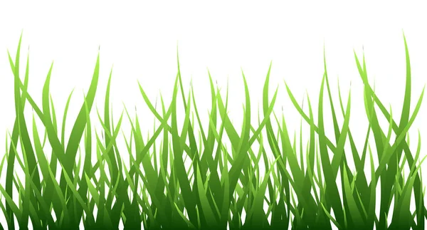 Green Grass Border Isolated White Field Vector Illustration Symbol Nature — Stock Vector