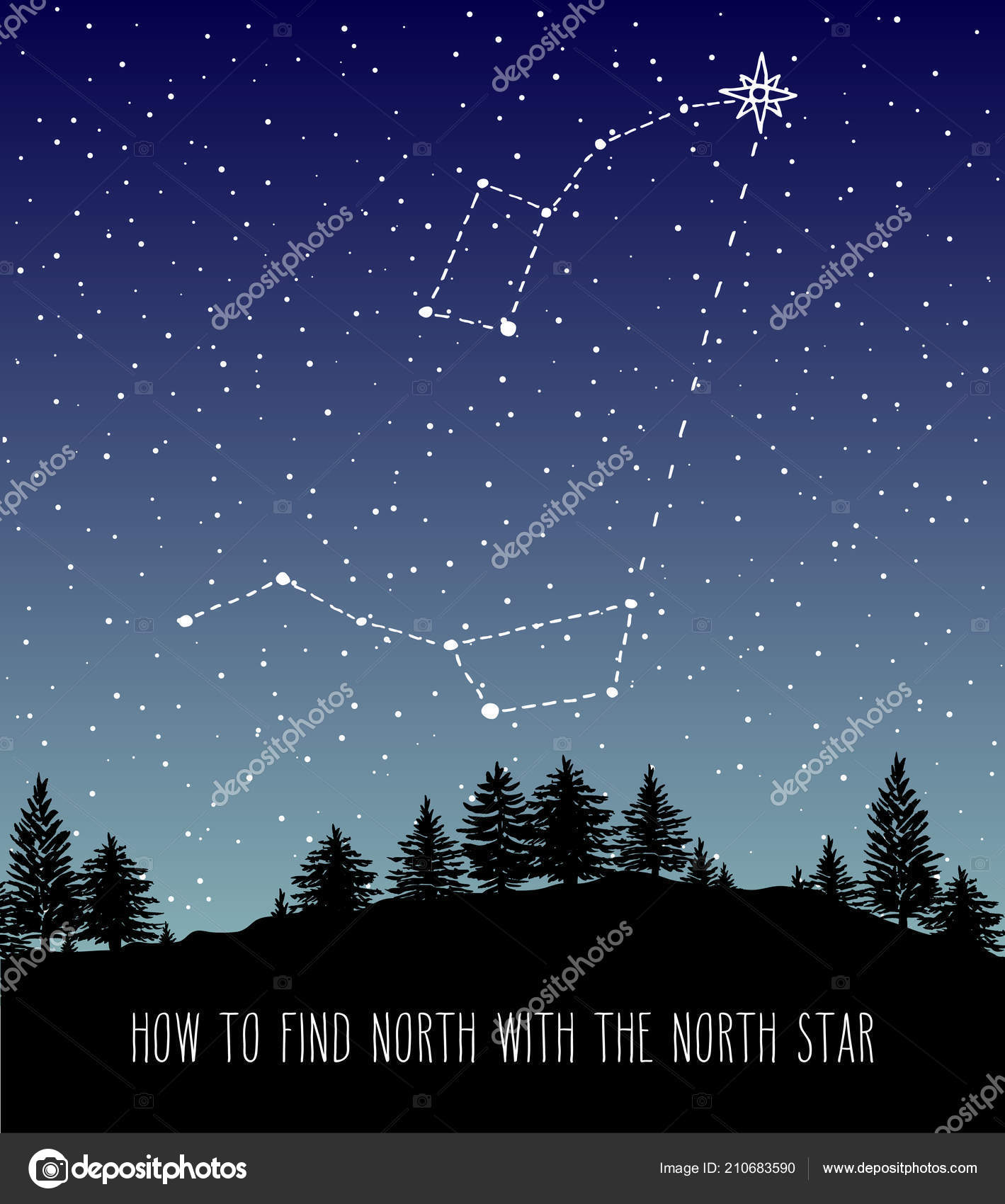 Trouver étoile Polaire Polaris Skyline Forêt Nuit Avec Les