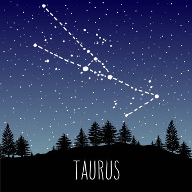 Toros - elle çizilmiş Zodyak işareti takımyıldızında bulunan iğne yapraklı orman üzerinde bir yıldızlı gece gökyüzü. Vektör grafik Astroloji çizim. Batı Astroloji mistik sembol doğada.