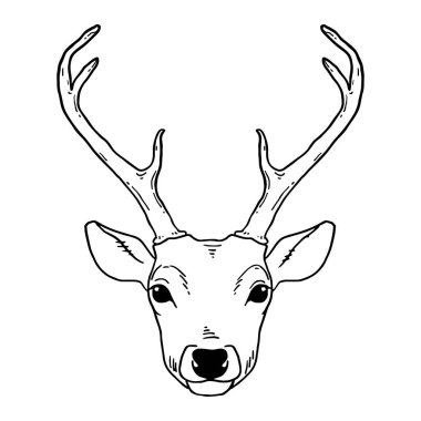 El kabile stili genç geyik kafası çekilmiş. Siyah beyaz üzerinde sihirli vintage vektör çizim. Ruhani sanat, yoga, boho tarzı, Doğa ve vahşi. T-shirt ve dövme tasarım.