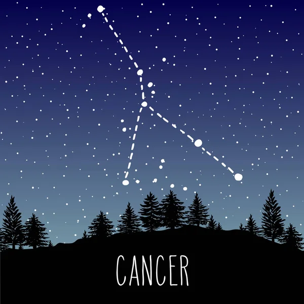 Рак Нарисовал Созвездие Зодиака Звездном Ночном Небе Над Хвойным Лесом — стоковый вектор