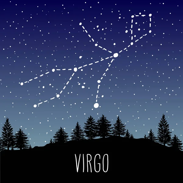 Başak el Zodyak işareti takımyıldızı üzerinde iğne yapraklı orman bir yıldızlı gece gökyüzünde çekilmiş. Vektör grafik Astroloji çizim. Batı Astroloji mistik sembol doğada.