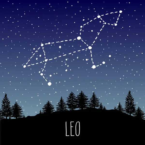 Leo Hand Drawn Zodiac Sign Constellation Starry Night Sky Coniferous — Stock Vector
