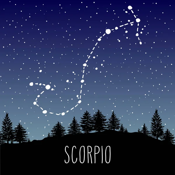 Scorpio Hand Dras Zodiac Sign Konstellation Stjärnklar Natthimmel Över Barrskogen — Stock vektor