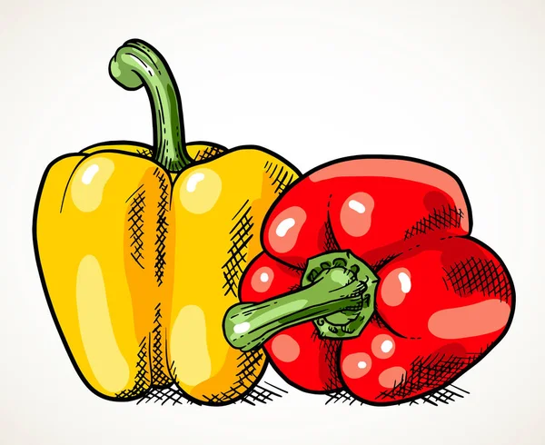 一对新鲜的甜椒分离 蔬菜设计元素为农场市场 素食食谱 通过白色隔离的矢量插图 — 图库矢量图片