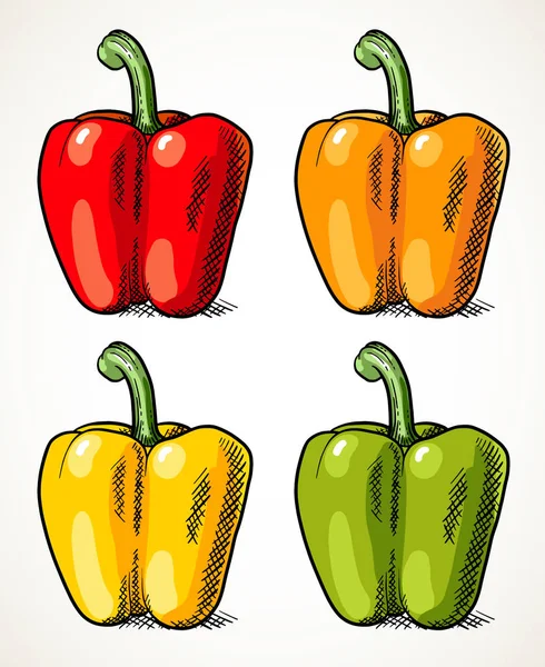 Fresh Sweet Peppers Set Isolated Vegetable Design Elements Collection Farm — Stock Vector