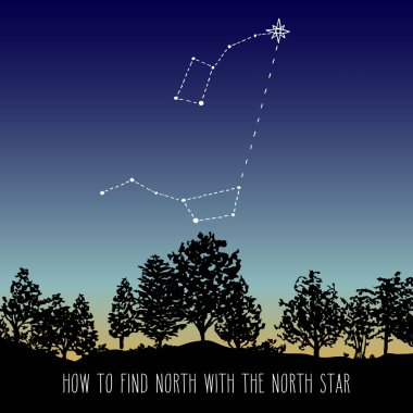 Finding North star Polaris. Night forest skyline with Ursa Major and Ursa Minor constellations (Little Dipper and Big Dipper). Space and astronomical design vector illustration. clipart