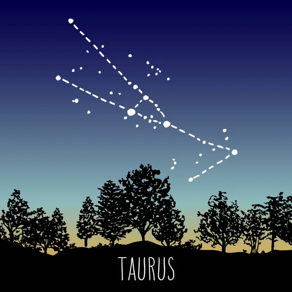 Tauro Constelación Signos Del Zodíaco Dibujada Mano Cielo Crepuscular Sobre — Vector de stock