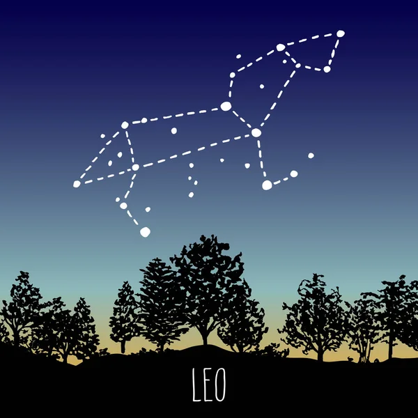 Lion Dessiné Main Constellation Signe Zodiaque Dans Ciel Crépusculaire Sur — Image vectorielle
