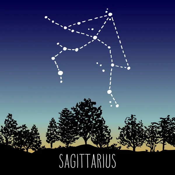 射手座手は 落葉広葉樹林の上たそがれの空に星座サイン星座を描いた ベクトル グラフィックスの占星術のイラスト 西洋の星座自然の神秘的なシンボル — ストックベクタ