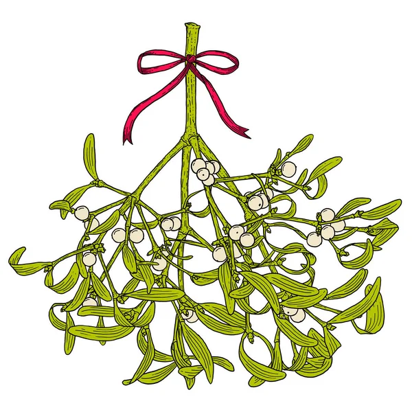 Hand Drawn Mistletoe Green Branch Ribbin Bow Vector Romantic Christmas — Stock Vector