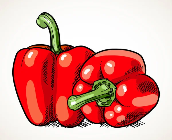一对新鲜的红甜椒 蔬菜设计元素为农产品市场 素食食谱 查出的向量例证在白色 — 图库矢量图片