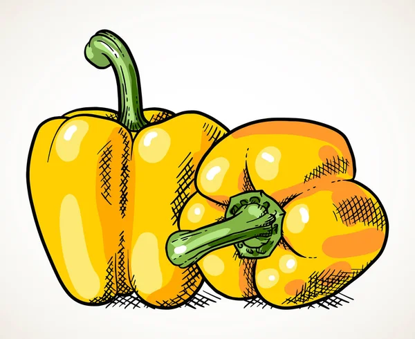 一对新鲜的黄色甜椒 蔬菜设计元素为农产品市场 素食食谱 查出的向量例证在白色 — 图库矢量图片