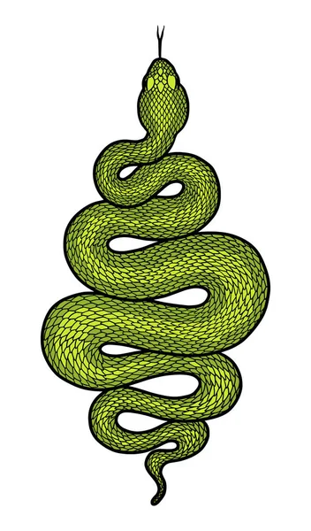 Oprullet slange detaljeret illustration – Stock-vektor