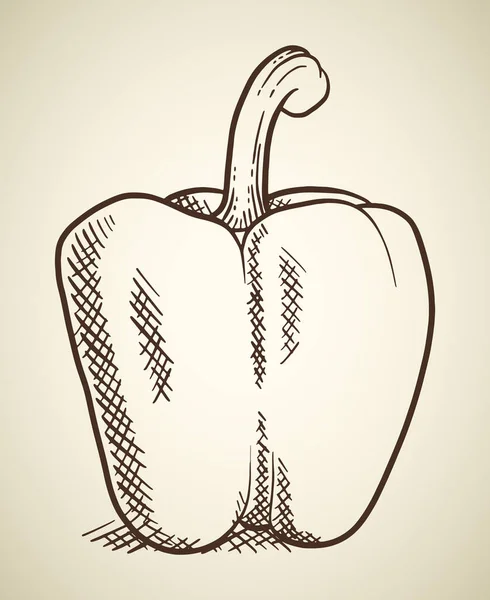 Ilustración vegetal de pimiento dulce — Vector de stock