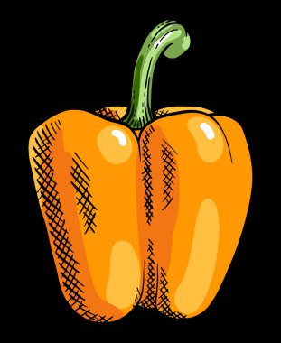 Tatlı biber sebze illüstrasyon