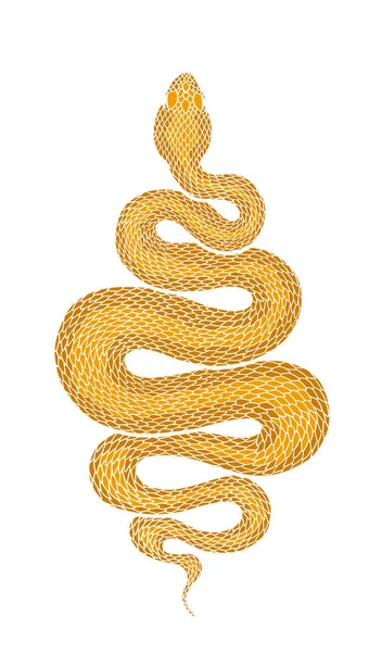 Καφέ τυλιγμένο φίδι Λεπτομερής απεικόνιση — Διανυσματικό Αρχείο