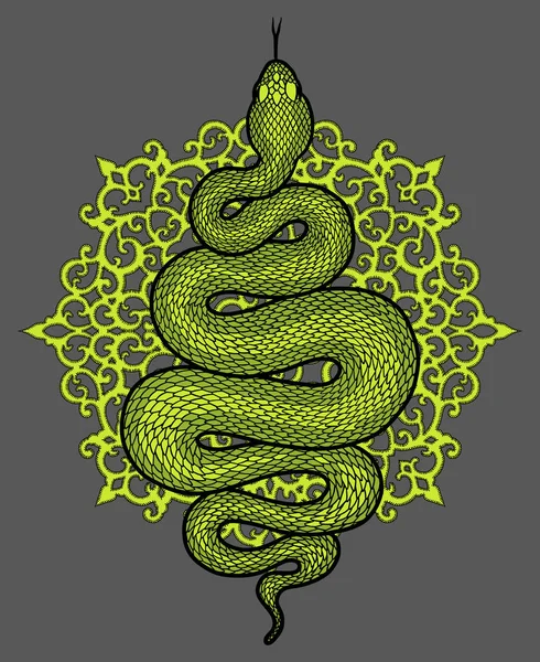 Serpent enroulé illustration détaillée — Image vectorielle