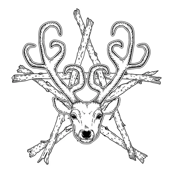 Cabeça de veado desenhada à mão sobre pentagrama estilo tribal — Vetor de Stock
