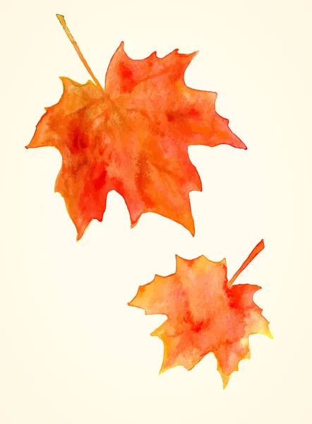 Feuilles d'érable aquarelle — Image vectorielle