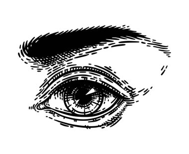 Klasik oymacılık tarzında el çizimi güzel bir kadın gözü. Beyaz üzerine siyah izole edilmiş antika detaylı vektör çizimi.
