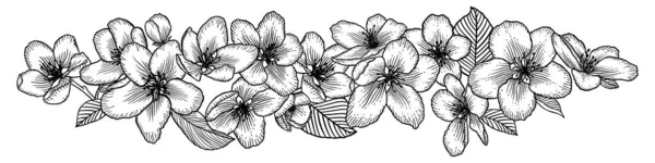 Virágzó Almafavirág Határ Fekete Fehér Vázlat Vektor Illusztráció Elszigetelt Fehér — Stock Vector