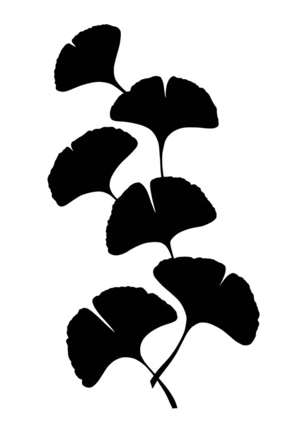 Ветка Гинкго Гинкко Билоба Листьями Природа Ботанический Векторный Силуэт Иллюстрация — стоковый вектор